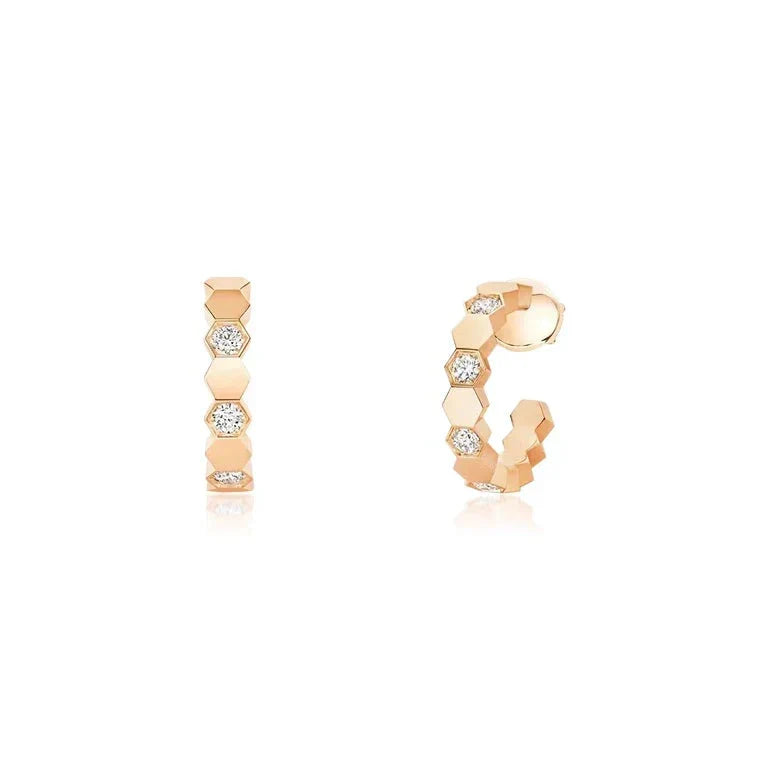 𝐶ℎ𝑎𝑢𝑚𝑒𝑡 𝐸𝑎𝑟𝑟𝑖𝑛𝑔𝑠